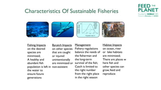 Characteristics Of Sustainable Fisheries
Fishing Impacts
on the desired
species are
minimized;
A healthy and
abundant fish...