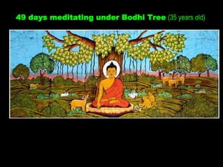 49 days meditating under Bodhi Tree (35 years old)
 