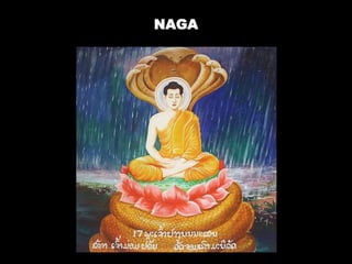 NAGA
 