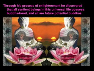 Through his process of enlightenment he discovered
that all sentient beings in this universal life possess
buddha-hood, and all are future potential buddhas.
 