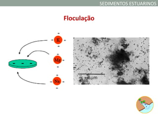 SEDIMENTOS ESTUARINOS

Floculação
 