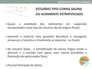 SEDIMENTOS ESTUARINOS

                        ESTUÁRIO TIPO CUNHA SALINA
                        OU ALTAMENTE ESTRATIFICADO

 Quase   a totalidade dos sedimentos em suspensão
 transportados neste tipo de estuário são de origem fluvial;

 Somente o material mais grosseiro decantará e conseguirá
 atravessar a haloclina e finalmente se depositar no fundo;

 No estuário baixo , a estratificação da coluna d’água tende a
 diminuir e o contato com águas mais salinas possibilita a
 floculação de particulados finos;

 Possível formação de deltas.
 