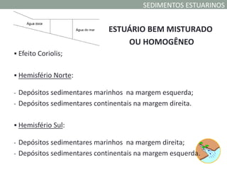 SEDIMENTOS ESTUARINOS


                             ESTUÁRIO BEM MISTURADO
                                 OU HOMOGÊNEO
 Efeito Coriolis;


 Hemisfério Norte:

- Depósitos sedimentares marinhos na margem esquerda;
- Depósitos sedimentares continentais na margem direita.


 Hemisfério Sul:

- Depósitos sedimentares marinhos na margem direita;
- Depósitos sedimentares continentais na margem esquerda.
 