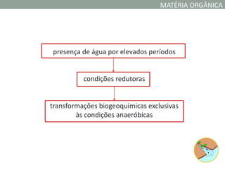 MATÉRIA ORGÂNICA




presença de água por elevados períodos


          condições redutoras


transformações biogeoquímicas exclusivas
        às condições anaeróbicas
 
