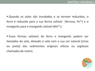 MATÉRIA ORGÂNICA



 Quando os solos são inundados e se tornam reduzidos, o
ferro é reduzido para a sua forma solúvel (ferroso, Fe2+) e o
manganês para o manganês solúvel (Mn2+);


 Essas formas solúveis de ferro e manganês podem ser
lixiviados do solo, deixado o solo com a sua cor natural (cinza
ou preto) dos sedimentos originais sílticos ou argilosos
chamados de matriz.
 