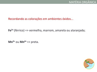 MATÉRIA ORGÂNICA




Recordando as colorações em ambientes óxidos...


Fe3+ (férrico) => vermelha, marrom, amarela ou alaranjada;


Mn3+ ou Mn4+ => preta.
 