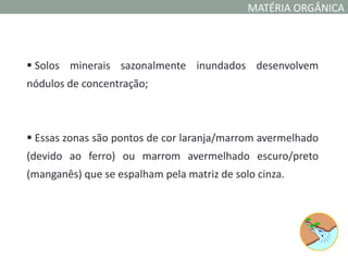 MATÉRIA ORGÂNICA



 Solos minerais sazonalmente inundados desenvolvem
nódulos de concentração;



 Essas zonas são pontos de cor laranja/marrom avermelhado
(devido ao ferro) ou marrom avermelhado escuro/preto
(manganês) que se espalham pela matriz de solo cinza.
 