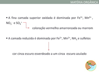 MATÉRIA ORGÂNICA



 A fina camada superior oxidada é dominada por Fe3+, Mn4+ ,
NO3- e SO4=
                  coloração vermelho amarronzada ou marrom


 A camada reduzida é dominada por Fe2+, Mn2+, NH3 e sulfetos



    cor cinza escuro esverdeado a um cinza escuro azulado
 