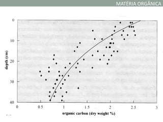 MATÉRIA ORGÂNICA
 