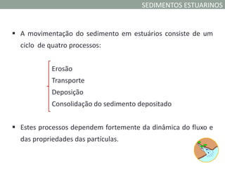 SEDIMENTOS ESTUARINOS


 A movimentação do sedimento em estuários consiste de um
  ciclo de quatro processos:


            Erosão
            Transporte
            Deposição
            Consolidação do sedimento depositado


 Estes processos dependem fortemente da dinâmica do fluxo e
  das propriedades das partículas.
 