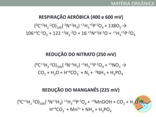 MATÉRIA ORGÂNICA

          RESPIRAÇÃO AERÓBICA (400 e 600 mV)
      (0C+1H2-2O)106(-3N+1H3) +1H3+5P-2O4 + 138O2 →
   106+4C-2O2 + 122 +1H2-2O + 16 +5N+1H-2O + +1H3+5P-2O4



             REDUÇÃO DO NITRATO (250 mV)

        (0C+1H2-2O)106(-3N+1H3) +1H3+5P-2O4 + +5NO3 →
          CO2 + H2O + H+4CO3- + N2 + -3NH3 + H3PO4


           REDUÇÃO DO MANGANÊS (225 mV)

(0C+1H2-2O)106(-3N+1H3) +1H3+5P-2O4 + +3MnOOH + CO2 + H2O →
                 H+4CO3- + Mn2+ + NH3 + H3PO4
 