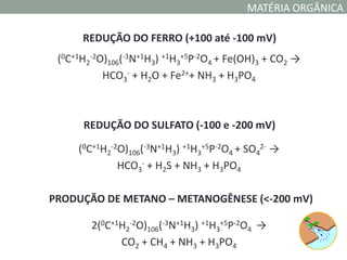 MATÉRIA ORGÂNICA

      REDUÇÃO DO FERRO (+100 até -100 mV)
 (0C+1H2-2O)106(-3N+1H3) +1H3+5P-2O4 + Fe(OH)3 + CO2 →
           HCO3- + H2O + Fe2++ NH3 + H3PO4



      REDUÇÃO DO SULFATO (-100 e -200 mV)

     (0C+1H2-2O)106(-3N+1H3) +1H3+5P-2O4 + SO42- →
              HCO3- + H2S + NH3 + H3PO4

PRODUÇÃO DE METANO – METANOGÊNESE (<-200 mV)

        2(0C+1H2-2O)106(-3N+1H3) +1H3+5P-2O4 →
              CO2 + CH4 + NH3 + H3PO4
 