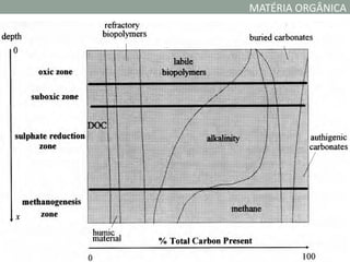 MATÉRIA ORGÂNICA
 