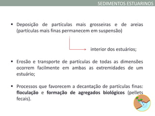 SEDIMENTOS ESTUARINOS



 Deposição de partículas mais grosseiras e de areias
  (partículas mais finas permanecem em suspensão)


                                   interior dos estuários;

 Erosão e transporte de partículas de todas as dimensões
  ocorrem facilmente em ambas as extremidades de um
  estuário;

 Processos que favorecem a decantação de partículas finas:
  floculação e formação de agregados biológicos (pellets
  fecais).
 