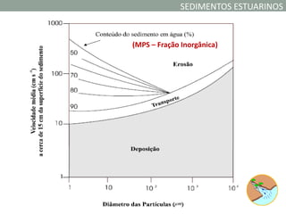 SEDIMENTOS ESTUARINOS


(MPS – Fração Inorgânica)
 