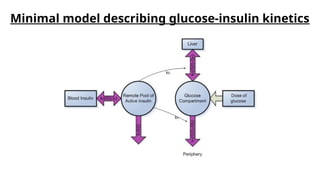 Modeling, Simulation, and Estimation of Glucose Metabolism | PPTX