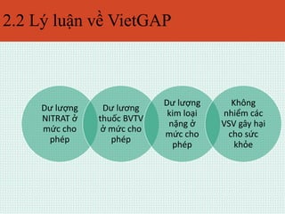 2.2 Lý luận về VietGAP 
Dư lượng 
NITRAT ở 
mức cho 
phép 
Dư lương 
thuốc BVTV 
ở mức cho 
phép 
Dư lượng 
kim loại 
nặng ở 
mức cho 
phép 
Không 
nhiểm các 
VSV gây hại 
cho sức 
khỏe 
 
