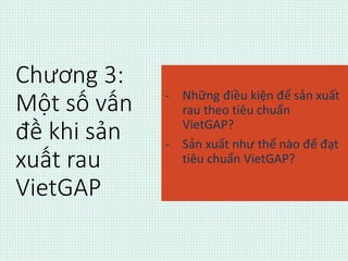 Chương 3: 
Một số vấn 
đề khi sản 
xuất rau 
VietGAP 
- Những điều kiện để sản xuất 
rau theo tiêu chuẩn 
VietGAP? 
- Sản xuất như thế nào để đạt 
tiêu chuẩn VietGAP? 
 