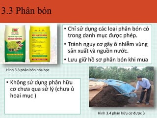 3.3 Phân bón 
• Chỉ sử dụng các loại phân bón có 
trong danh mục được phép. 
• Tránh nguy cơ gây ô nhiễm vùng 
sản xuất và nguồn nước. 
• Lưu giữ hồ sơ phân bón khi mua 
Hình 3.3 phân bón hóa học 
• Không sử dụng phân hữu 
cơ chưa qua sử lý (chưa ủ 
hoai mục ) 
Hình 3.4 phân hữu cơ được ủ 
 