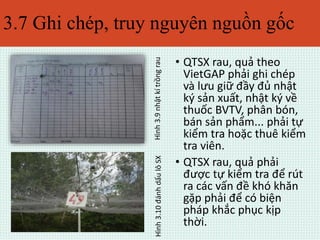 3.7 Ghi chép, truy nguyên nguồn gốc 
• QTSX rau, quả theo 
VietGAP phải ghi chép 
và lưu giữ đầy đủ nhật 
ký sản xuất, nhật ký về 
thuốc BVTV, phân bón, 
bán sản phẩm... phải tự 
kiểm tra hoặc thuê kiểm 
tra viên. 
• QTSX rau, quả phải 
được tự kiểm tra để rút 
ra các vấn đề khó khăn 
gặp phải để có biện 
pháp khắc phục kịp 
thời. 
Hình 3.10 đánh dấu lô SX Hình 3.9 nhật kí trồng rau 
 