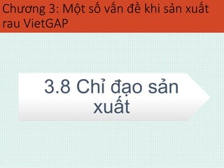 Chương 3: Một số vấn đề khi sản xuất 
rau VietGAP 
3.8 Chỉ đạo sản 
xuất 
 