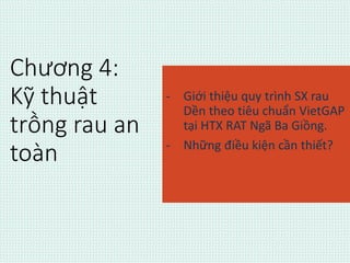 Chương 4: 
Kỹ thuật 
trồng rau an 
toàn 
- Giới thiệu quy trình SX rau 
Dền theo tiêu chuẩn VietGAP 
tại HTX RAT Ngã Ba Giồng. 
- Những điều kiện cần thiết? 
 