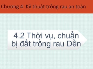 Chương 4: Kỹ thuật trồng rau an toàn 
4.2 Thời vụ, chuẩn 
bị đất trồng rau Dền 
 