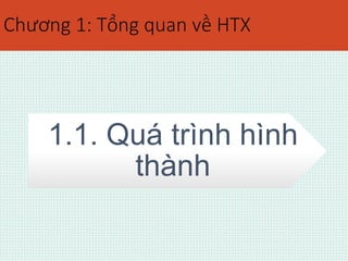 Chương 1: Tổng quan về HTX 
1.1. Quá trình hình 
thành 
 