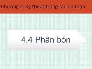 Chương 4: Kỹ thuật trồng rau an toàn 
4.4 Phân bón 
 