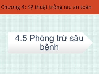 Chương 4: Kỹ thuật trồng rau an toàn 
4.5 Phòng trừ sâu 
bệnh 
 