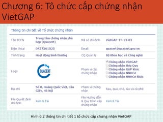 Chương 6: Tô chức cấp chứng nhận 
VietGAP 
Hình 6.2 thông tin chi tiết 1 tổ chức cấp chứng nhận VietGAP 
 