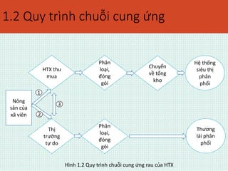 1.2 Quy trình chuỗi cung ứng 
Nông 
sản của 
xã viên 
HTX thu 
mua 
Thị 
trường 
tự do 
Phân 
loại, 
đóng 
gói 
Chuyển 
về tổng 
kho 
Phân 
loại, 
đóng 
gói 
Hệ thống 
siêu thị 
phân 
phối 
Thương 
lái phân 
phối 
1 
2 
3 
Hình 1.2 Quy trình chuỗi cung ứng rau của HTX 
 