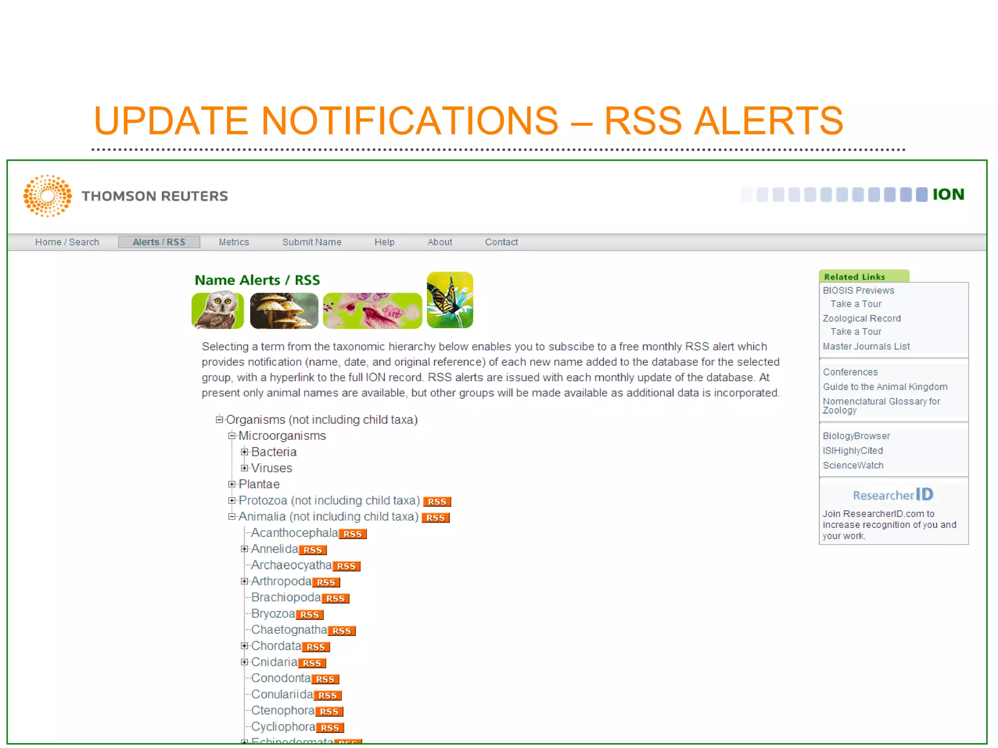 UPDATE NOTIFICATIONS – RSS ALERTS
 