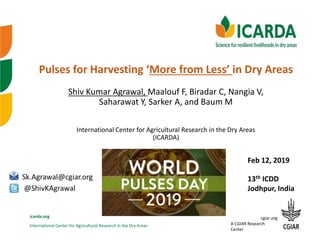 International Center for Agricultural Research in the Dry Areas
icarda.org cgiar.org
A CGIAR Research
Center
Pulses for Harvesting ‘More from Less’ in Dry Areas
Shiv Kumar Agrawal, Maalouf F, Biradar C, Nangia V,
Saharawat Y, Sarker A, and Baum M
International Center for Agricultural Research in the Dry Areas
(ICARDA)
13th ICDD
Jodhpur, India
Feb 12, 2019
 