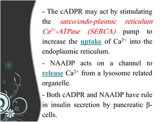 - The cADPR may act by stimulating
the sarco/endo-plasmic reticulum
Ca2+-ATPase (SERCA) pump to
increase the uptake of Ca2+ into the
endoplasmic reticulum.
- NAADP acts on a channel to
release Ca2+ from a lysosome related
organelle.
- Both cADPR and NAADP have rule
in insulin secretion by pancreatic β-
cells.
 