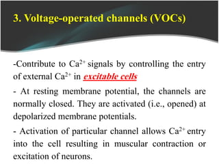 3. Voltage-operated channels (VOCs)
-Contribute to Ca2+ signals by controlling the entry
of external Ca2+ in excitable cells
- At resting membrane potential, the channels are
normally closed. They are activated (i.e., opened) at
depolarized membrane potentials.
- Activation of particular channel allows Ca2+ entry
into the cell resulting in muscular contraction or
excitation of neurons.
 