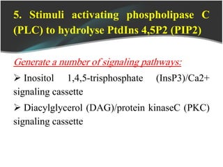 5. Stimuli activating phospholipase C
(PLC) to hydrolyse PtdIns 4,5P2 (PIP2)
Generate a number of signaling pathways:
 Inositol 1,4,5-trisphosphate (InsP3)/Ca2+
signaling cassette
 Diacylglycerol (DAG)/protein kinaseC (PKC)
signaling cassette
 