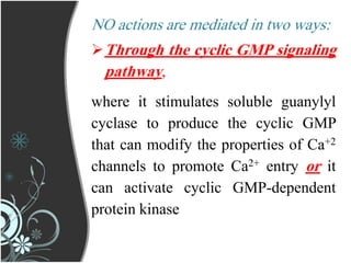 NO actions are mediated in two ways:
Through the cyclic GMP signaling
pathway,
where it stimulates soluble guanylyl
cyclase to produce the cyclic GMP
that can modify the properties of Ca+2
channels to promote Ca2+ entry or it
can activate cyclic GMP-dependent
protein kinase
 