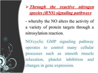 Through the reactive nitrogen
species (RNS) signaling pathways
- whereby the NO alters the activity of
a variety of protein targets through a
nitrosylation reaction.
NO/cyclic GMP signaling pathway
operates to control many cellular
processes such as smooth muscle
relaxation, platelet inhibition and
changes in gene expression.
 