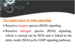 Two main types of redox signaling
Reactive oxygen species (ROS) signaling
Reactive nitrogen species (RNS) signaling,
which is carried out by RNS and is linked to the
nitric oxide (NO)/cyclic GMP signaling pathway.
 