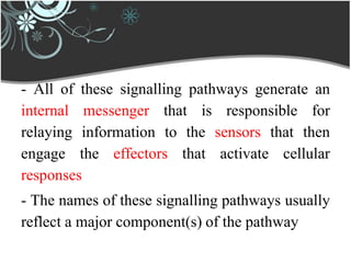 - All of these signalling pathways generate an
internal messenger that is responsible for
relaying information to the sensors that then
engage the effectors that activate cellular
responses
- The names of these signalling pathways usually
reflect a major component(s) of the pathway
 