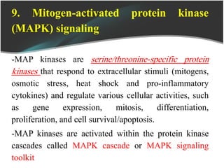 9. Mitogen-activated protein kinase
(MAPK) signaling
-MAP kinases are serine/threonine-specific protein
kinases that respond to extracellular stimuli (mitogens,
osmotic stress, heat shock and pro-inflammatory
cytokines) and regulate various cellular activities, such
as gene expression, mitosis, differentiation,
proliferation, and cell survival/apoptosis.
-MAP kinases are activated within the protein kinase
cascades called MAPK cascade or MAPK signaling
toolkit
 