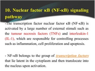 10. Nuclear factor κB (NF-κB) signaling
pathway
-The transcription factor nuclear factor κB (NF-κB) is
activated by a large number of external stimuli such as
the tumour necrosis factors (TNFs) and interleukin-1
(IL-1), which are responsible for controlling processes
such as inflammation, cell proliferation and apoptosis.
- NF-κB belongs to the group of transcription factors
that lie latent in the cytoplasm and then translocate into
the nucleus upon activation.
 