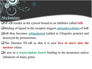 Mechanism:
NF-κB resides in the cytosol bound to an inhibitor called IκB.
Binding of ligand to the receptor triggers phosphorylation of IκB
IκB then becomes ubiquinated (added to Ubiquitin protein) and
destroyed by proteasomes.
This liberates NF-κB so that it is now free to move into the
nucleus where
It acts as a transcription factor binding to the promoters and/or
enhancers of many genes
 