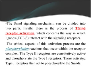 -The Smad signaling mechanism can be divided into
two parts. Firstly, there is the process of TGF-β
receptor activation, which concerns the way in which
ligands (TGF-β) interact with the signaling receptors.
-The critical aspects of this activation process are the
phosphorylation reactions that occur within the receptor
complex. The Type II receptors are constitutively active
and phosphorylate the Type I receptors. These activated
Type I receptors then act to phosphorylate the Smads.
 