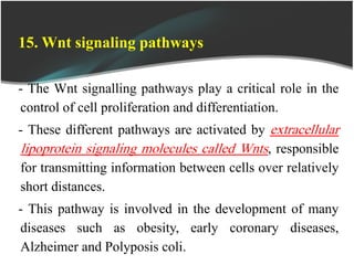 15. Wnt signaling pathways
- The Wnt signalling pathways play a critical role in the
control of cell proliferation and differentiation.
- These different pathways are activated by extracellular
lipoprotein signaling molecules called Wnts, responsible
for transmitting information between cells over relatively
short distances.
- This pathway is involved in the development of many
diseases such as obesity, early coronary diseases,
Alzheimer and Polyposis coli.
 
