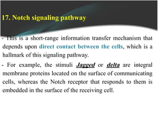 17. Notch signaling pathway
- This is a short-range information transfer mechanism that
depends upon direct contact between the cells, which is a
hallmark of this signaling pathway.
- For example, the stimuli Jagged or delta are integral
membrane proteins located on the surface of communicating
cells, whereas the Notch receptor that responds to them is
embedded in the surface of the receiving cell.
 