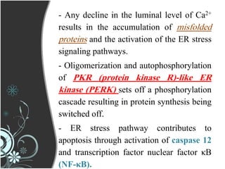 - Any decline in the luminal level of Ca2+
results in the accumulation of misfolded
proteins and the activation of the ER stress
signaling pathways.
- Oligomerization and autophosphorylation
of PKR (protein kinase R)-like ER
kinase (PERK) sets off a phosphorylation
cascade resulting in protein synthesis being
switched off.
- ER stress pathway contributes to
apoptosis through activation of caspase 12
and transcription factor nuclear factor κB
(NF-κB).
 