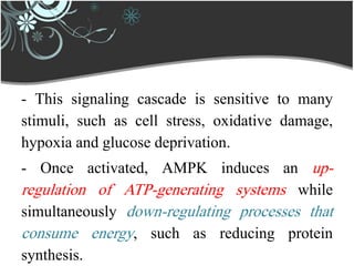 - This signaling cascade is sensitive to many
stimuli, such as cell stress, oxidative damage,
hypoxia and glucose deprivation.
- Once activated, AMPK induces an up-
regulation of ATP-generating systems while
simultaneously down-regulating processes that
consume energy, such as reducing protein
synthesis.
 