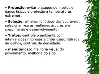•  Proteção:  evitar o ataque de insetos e danos físicos e proteção a temperaturas extremas.  •  Seleção:  eliminar fenótipos desfavoráveis; selecionam-se as melhores árvores em crescimento e desenvolvimento.  •  Tratos:  controla o ambiente com intervenções rigorosas e criteriosas: retirada de galhos, controle de densidade.  •  manutenção:  melhoria visual do povoamento, melhoria do sítio.  